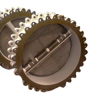 dual disc check valve manufacturer in india