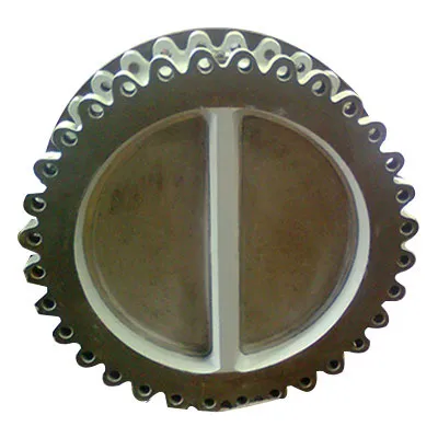 dual plate check valve manufacturer in india