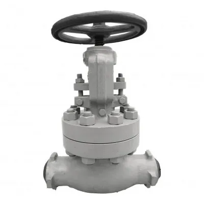 duplex stainless steel globe valve