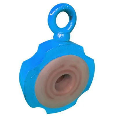 Wafer Check Valve Manufacturer in India